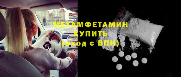 индика Алексин