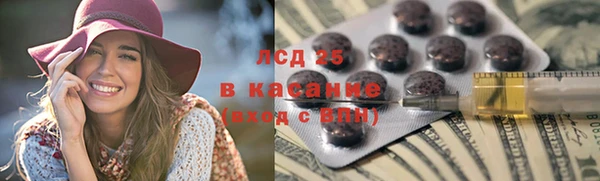 индика Алексин