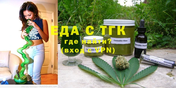 индика Алексин