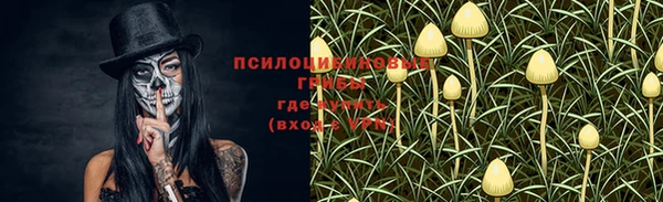 ALPHA PVP Алзамай