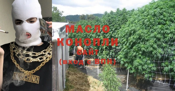 дмт Протвино
