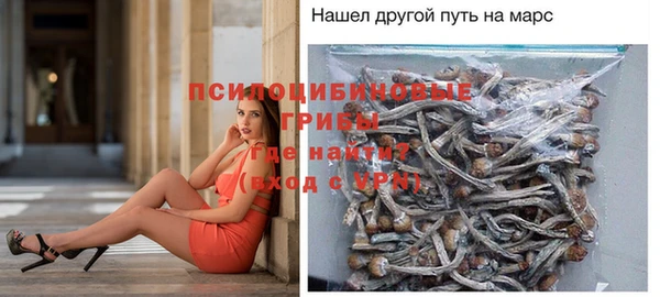 таблы Алексеевка