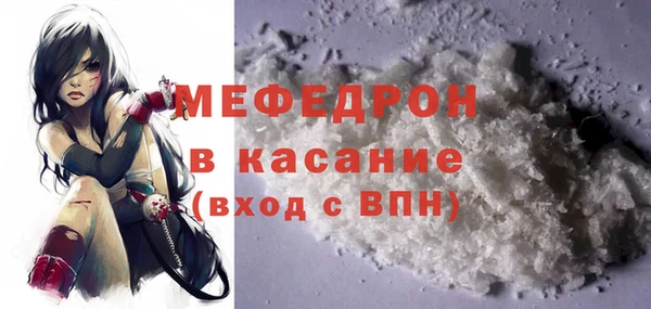 индика Алексин