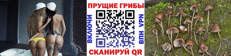 Галлюциногенные грибы Magic Shrooms  kraken   Муравленко 