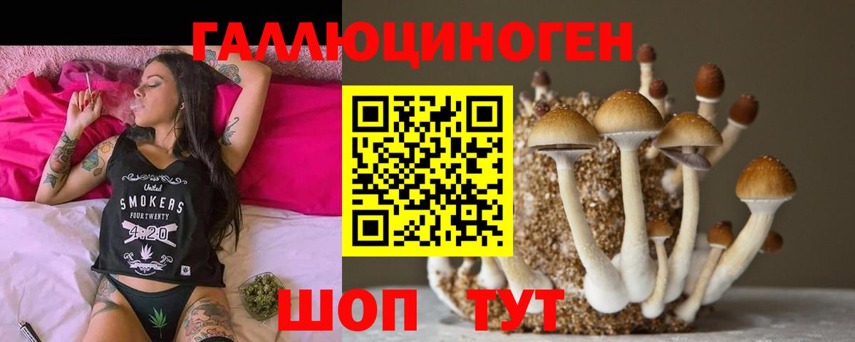 Галлюциногенные грибы MAGIC MUSHROOMS Муравленко